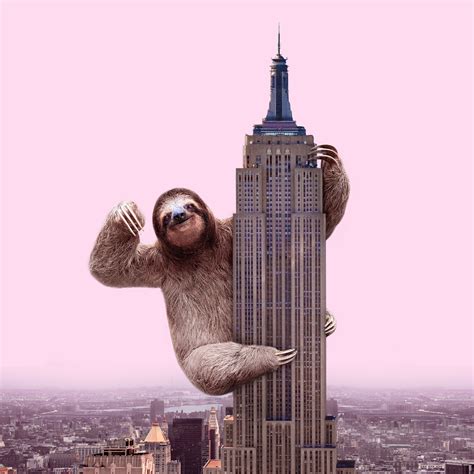 king of sloth